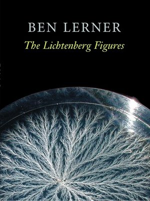 cover image of The Lichtenberg Figures